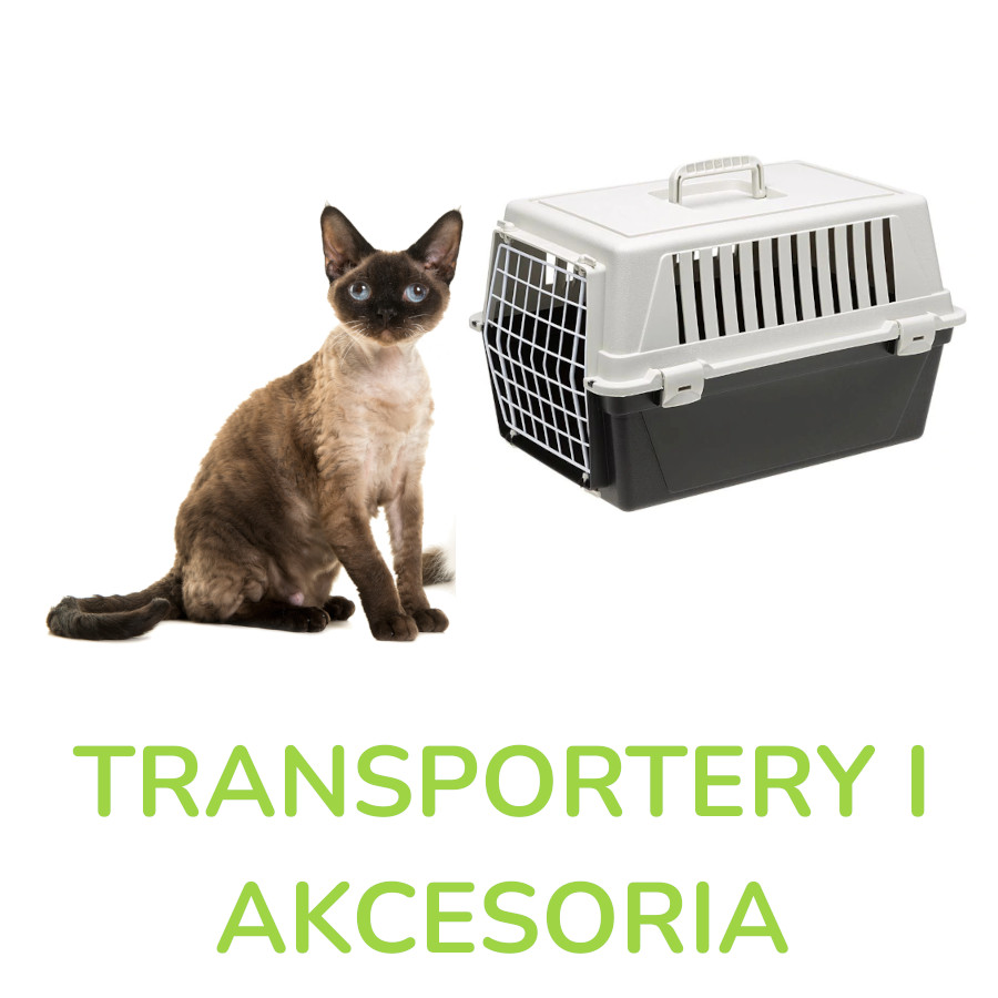 Transportery i akcesoria dla kotów