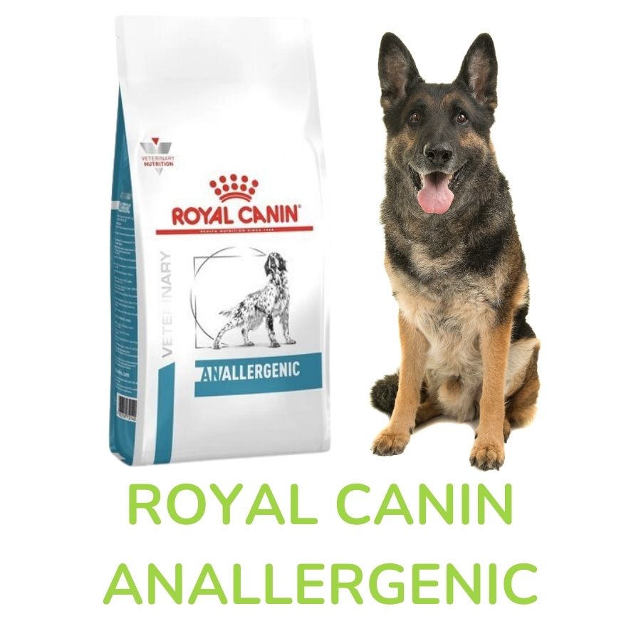 Royal Canin Anallergenic
