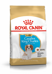 ROYAL CANIN BHN Cavalier King Charles Spaniel Puppy - sucha karma dla szczeniąt - 1,5 kg
