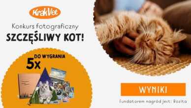 Konkurs Fotograficzny Szczęśliwy Kot – Wyniki