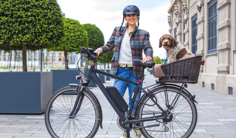 Kosz na rower – jak bezpiecznie przewozić psa lub kota rowerem?