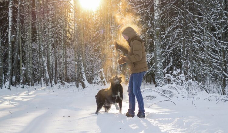 10 postanowień noworocznych dla Ciebie i Twojego pupila