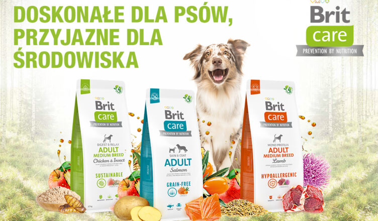 Nowy Brit Care – najczęściej zadawane pytania