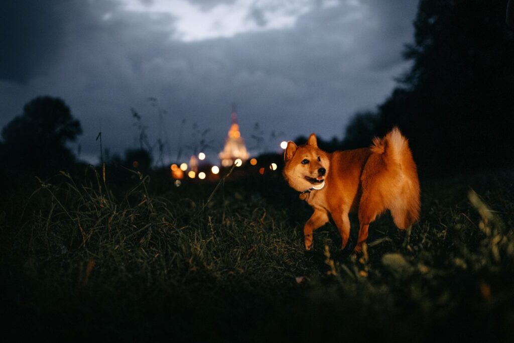 Zachowaj zdrowy rozsądek 