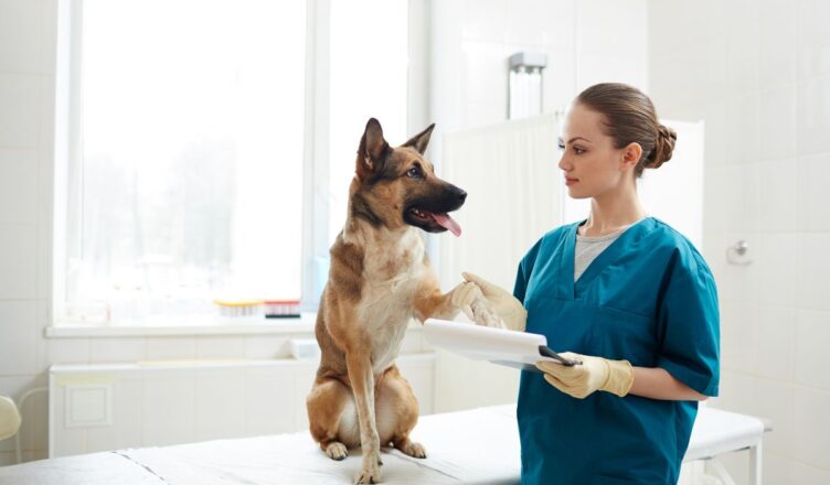 Kaszak u psa – objawy i leczenie