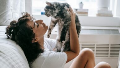 Cała prawda o życiu z kotem – czy zgadzasz się z nią?