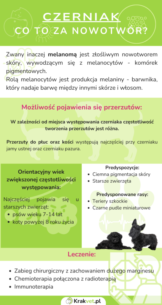 Czerniak u psów i kotów