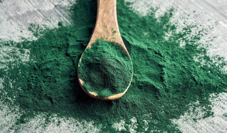 Spirulina dla psa, czyli jak wzmocnić odporność i poprawić stan sierści pupila 