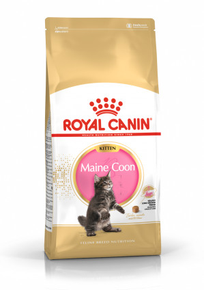 ROYAL CANIN FBN Maine Coon Kitten - sucha karma dla kociąt - 4 kg