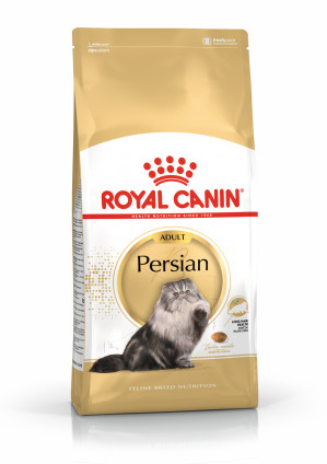 Royal Canin FBN Persian Adult - sucha karma dla kota dorosłego - 4 kg