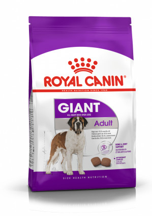 ROYAL CANIN SHN Giant Adult - sucha karma dla psa dorosłego - 15 kg