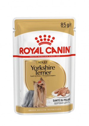ROYAL CANIN BHN Yorkshire Terrier Adult - mokra karma dla psa dorosłego - 12x85 g