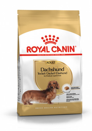 Royal Canin BHN Dachshund Adult - sucha karma dla psa dorosłego - 1,5kg