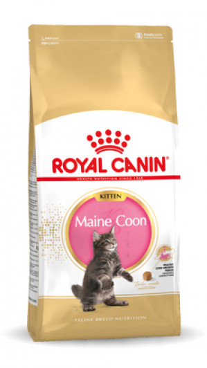 Royal Canin FBN Maine Coon Kitten - sucha karma dla kociąt - 10 kg