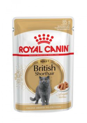 ROYAL CANIN FBN British Shorthair Adult - mokra karma dla dorosłego kota - 12x85 g