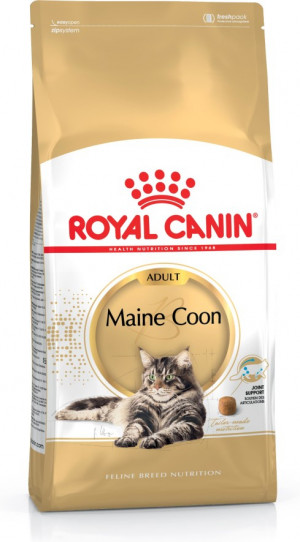 Royal Canin FBN Maine Coon Adult - sucha karma dla kota dorosłego - 4 kg