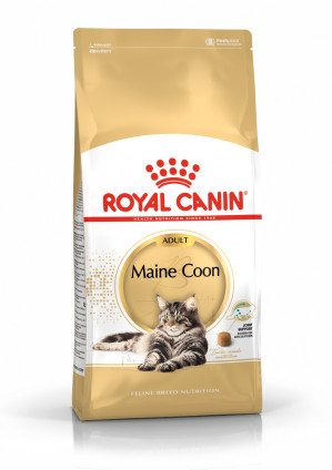 Royal Canin FBN Maine Coon Adult - sucha karma dla kota dorosłego - 4 kg