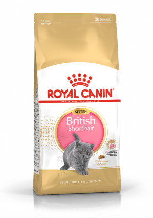 Royal Canin FBN British Shorthair Kitten - sucha karma dla kociąt - 2 kg