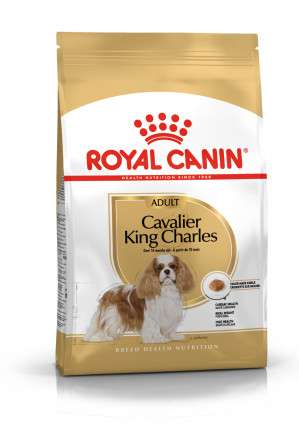 ROYAL CANIN BHN Cavalier King Charles Spaniel Adult - sucha karma dla psa dorosłego - 1,5kg