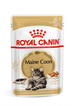 Royal Canin FBN Maine Coon Adult - mokra karma dla dorosłego kota - 12x85 g