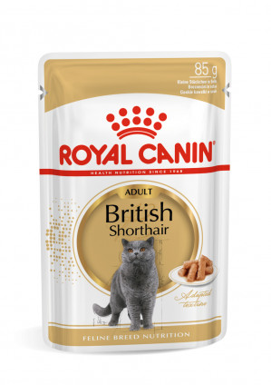 ROYAL CANIN FBN British Shorthair Adult - mokra karma dla dorosłego kota - 12x85 g