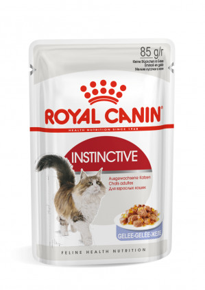 ROYAL CANIN FHN Instinctive w galaretce - mokra karma dla kota dorosłego - 12x85 g