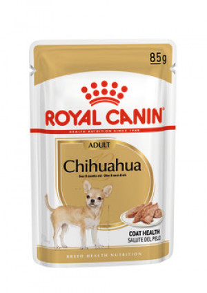 ROYAL CANIN BHN Chihuahua Adult - mokra karma dla psa dorosłego - 12x85 g 