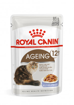 ROYAL CANIN FHN Ageing 12+ w galaretce - mokra karma dla kota starszego - 12x85 g 