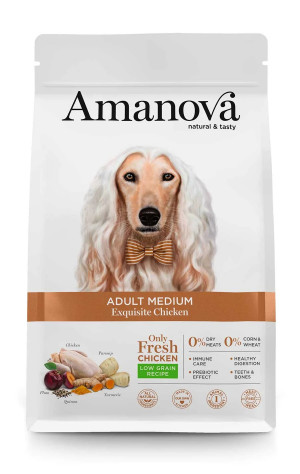 AMANOVA Adult Medium Exquisite Chicken - sucha karma dla psa - 2 kg