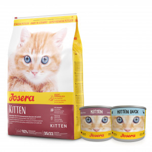 JOSERA Kitten - sucha karma dla kota - 10kg + GRATIS!