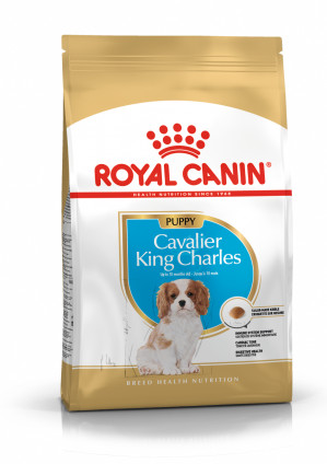 ROYAL CANIN BHN Cavalier King Charles Spaniel Puppy - sucha karma dla szczeniąt - 1,5 kg