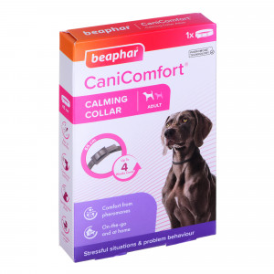 BEAPHAR Cani Comfort - obroża z feromonami dla psa - 65cm