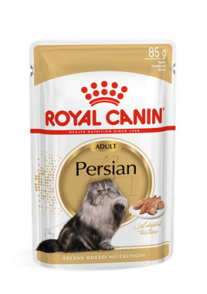 ROYAL CANIN FBN Persian Adult w formie pasztetu - mokra karma dla kota dorosłego - 12x85 g