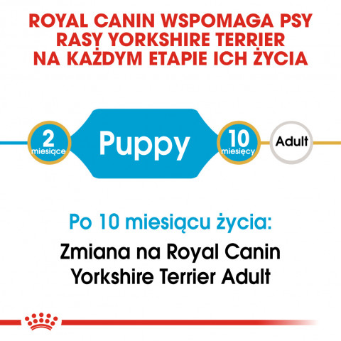 RC-BHN-PuppyYorkshire-CM-EretailKit-1-pl_PL.jpg