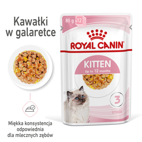 RC-SPT-WET-Kitten-CIJ-MV-1-pl_PL.jpg