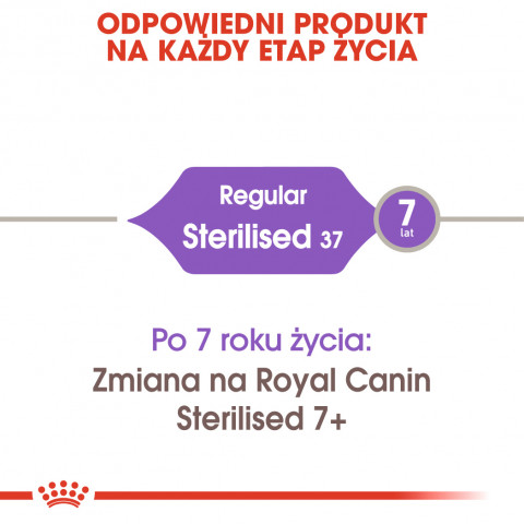 RC-FHN-Sterilised37-CV-Eretailkit-1-pl_PL.jpg