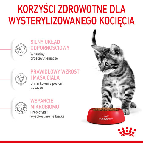 RC-SPT-DRY-KittenSter-CV-3-pl_PL.jpg