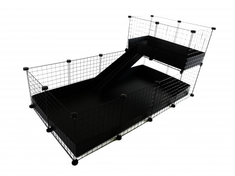 CC Cage 4x22x1ramp_black_black loft.jpg