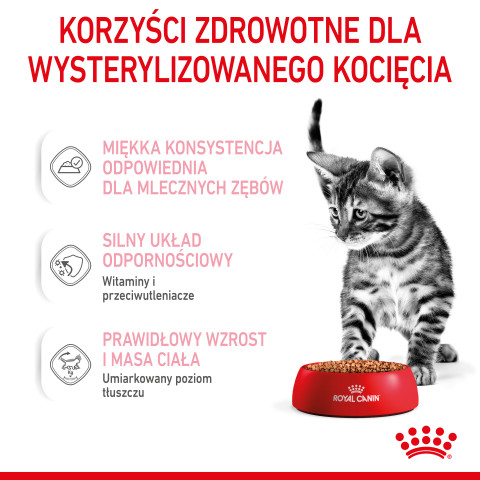 RC-SPT-WET-KittenSter-CIG-CV-3-pl_PL.jpg