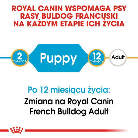 RC-BHN-PuppyFrenchBulldog-CM-EretailKit-1-pl_PL.jpg