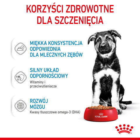 RC-SPT-WET-MaxiPuppy-CV-3-pl_PL.jpg