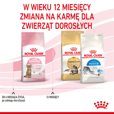 RC-SPT-DRY-KittenSter-CV-5-pl_PL.jpg