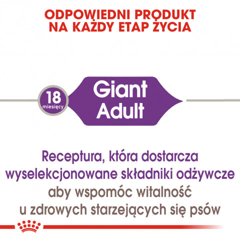 RC-SHN-AdultGiant-CV-EretailKit-1-pl_PL.jpg