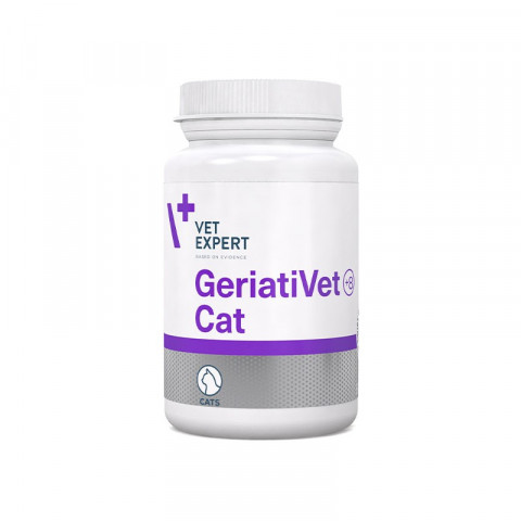 geriativet-cat-.jpg