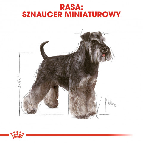 RC-BHN-Schnauzer-CV-Eretailkit-1-pl_PL.jpg