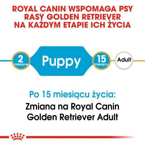 RC-BHN-PuppyGoldenRetriever-CM-EretailKit-1-pl_PL.jpg