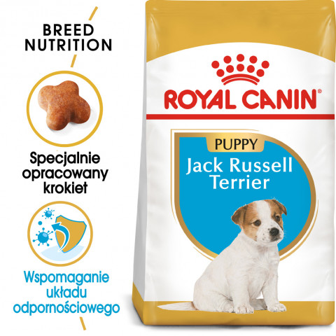 RC-BHN-PuppyJackRussell-MV-EretailKit-pl_PL.jpg