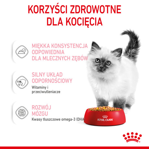 RC-SPT-WET-Kitten-CIJ-CV-3-pl_PL.jpg