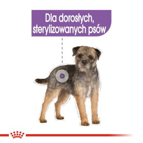 pol_pm_ROYAL-CANIN-CCN-Sterilised-Loaf-mokra-karma-dla-psa-doroslego-12x85-g-28763_7.jpg