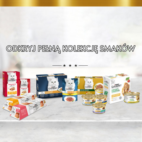 2023_10_19_Purina_Banner_Boutique_Gourmet.jpg